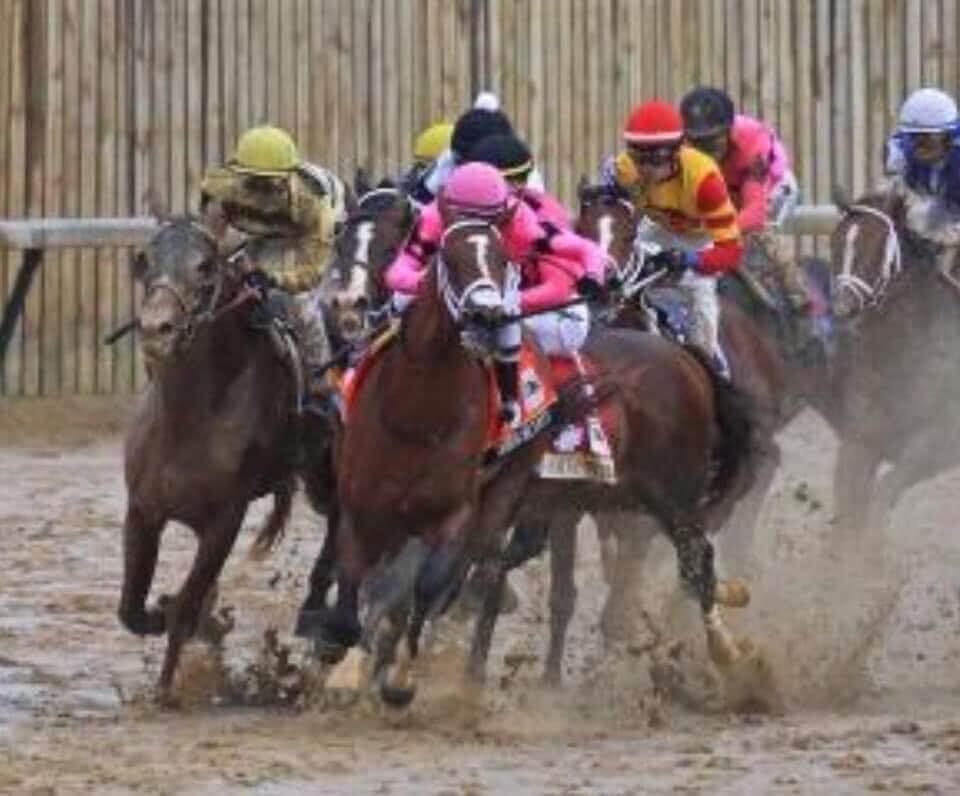 Preakness Stakes Odds