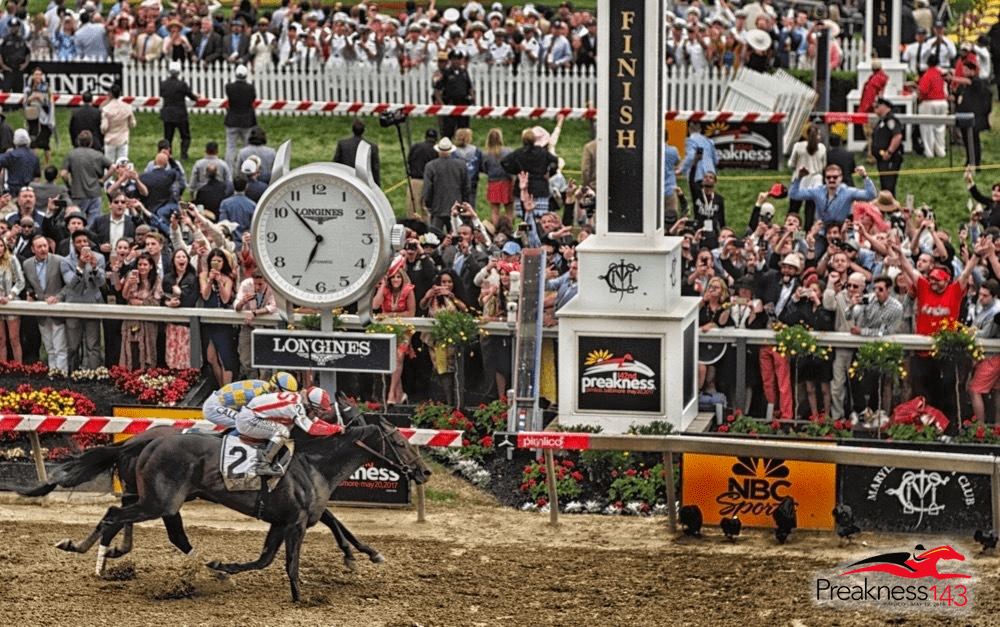 Preakness Stakes Odds