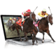 Horse Betting