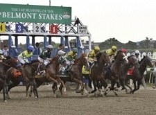 The Meaning of Class in Race Handicapping