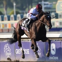 Breeders’ Cup Distaff