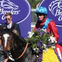 Breeders’ Cup Races