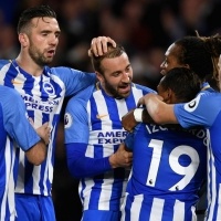 How to Bet on Brighton & Hove Albion