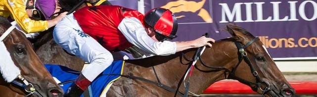 Breeders' Cup Sprint 2018 Odds