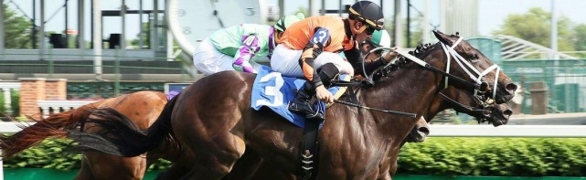 Breeders' Cup Turf Sprint 2018 Odds