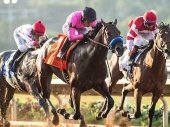 Breeders' Cup Distaff 2018 Odds