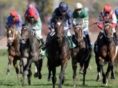 Breeders' Cup Mile 2018 Odds