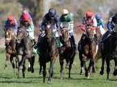 2018 Commonwealth Turf Stakes Picks