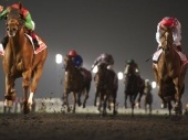Dubai World Cup Picks