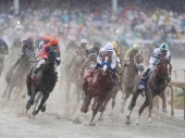 Betting Picks