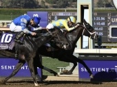 Preakness Stakes 2017 Predictions