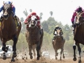 Santa Anita Sprint Championship 2018 Picks