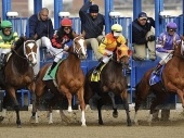 Wood Memorial Picks