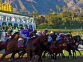 Zenyatta Stakes 2017 Picks