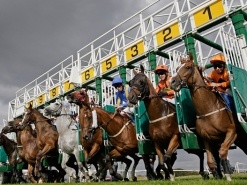 Best Horse Racing Quotes