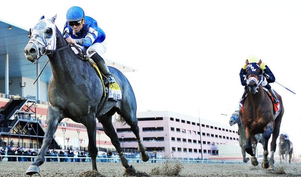 Bet On The Cigar Mile 2018