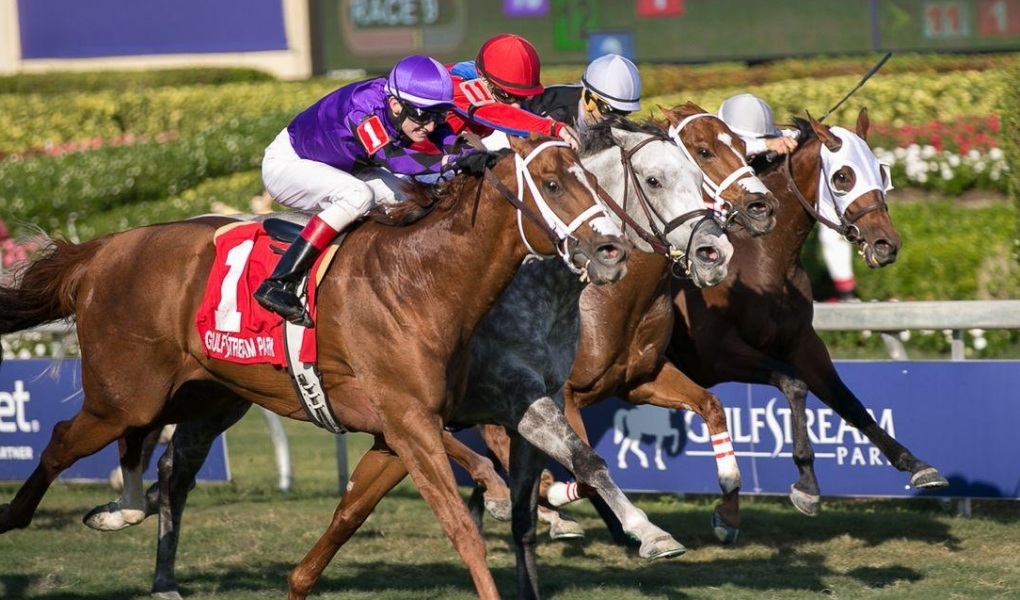 Bet On The Fort Lauderdale Stakes 2018