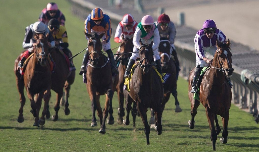 Bet On The Hollywood Derby 2018