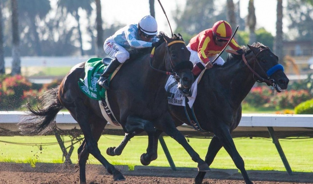 Bet On The Los Alamitos Futurity 2018
