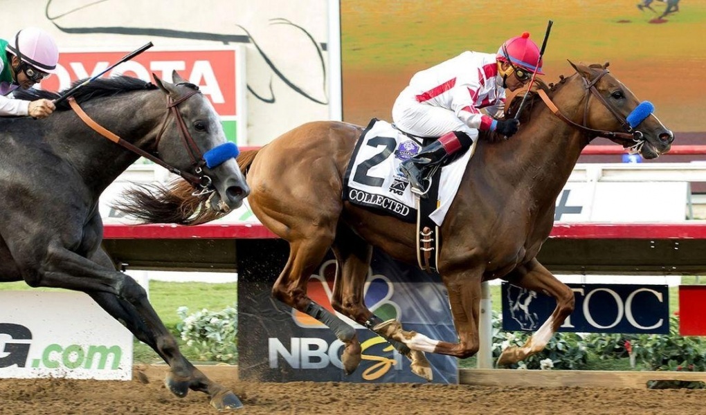 Bob Hope Stakes at Del Mar Picks