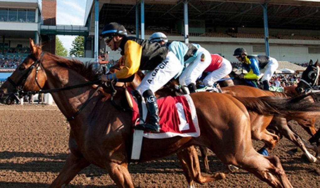 Breeders' Cup Dirt Mile 2018 Odds