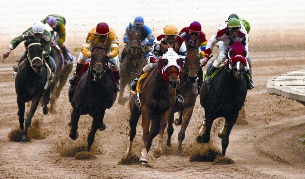 Breeders' Cup Filly & Mare Sprint 2018 Odds