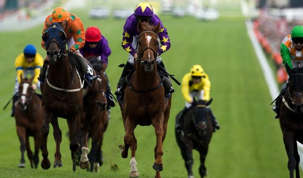 Breeders' Cup Filly & Mare Turf 2018 Odds