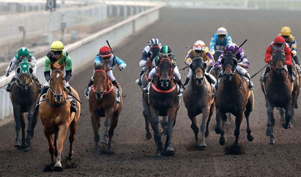 Breeders' Cup Juvenile Fillies 2018 Odds