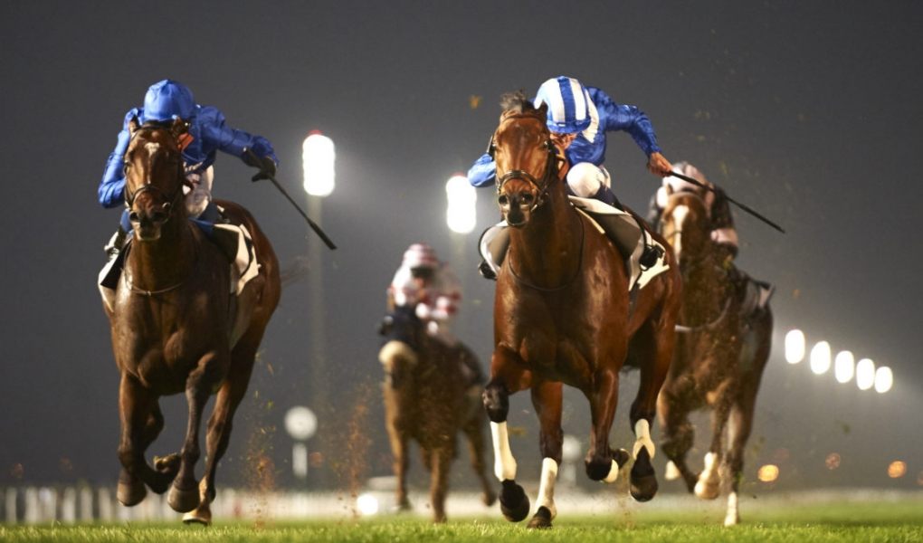 Breeders' Cup Juvenile Fillies Turf 2018 Odds