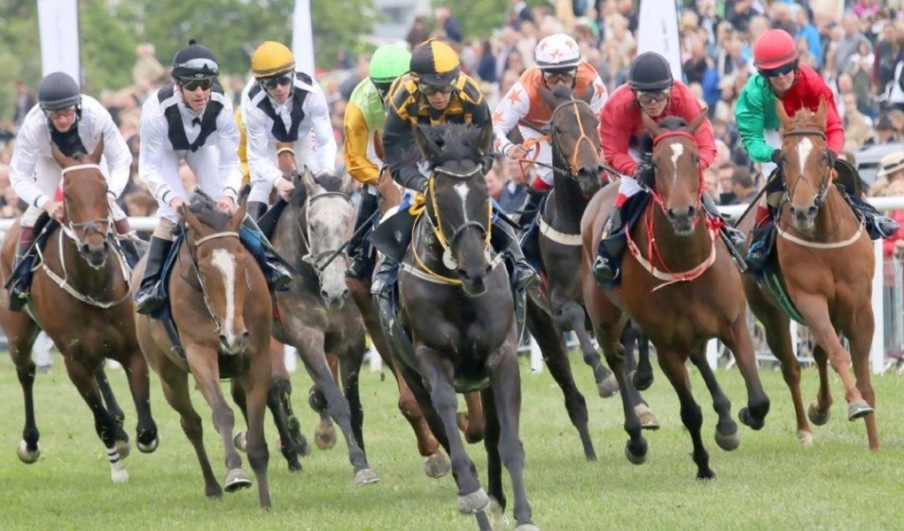 Breeders' Cup Juvenile Turf 2018 Odds