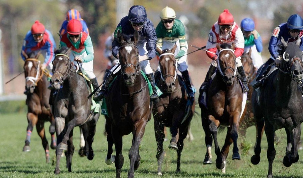 Breeders' Cup Mile 2018 Odds