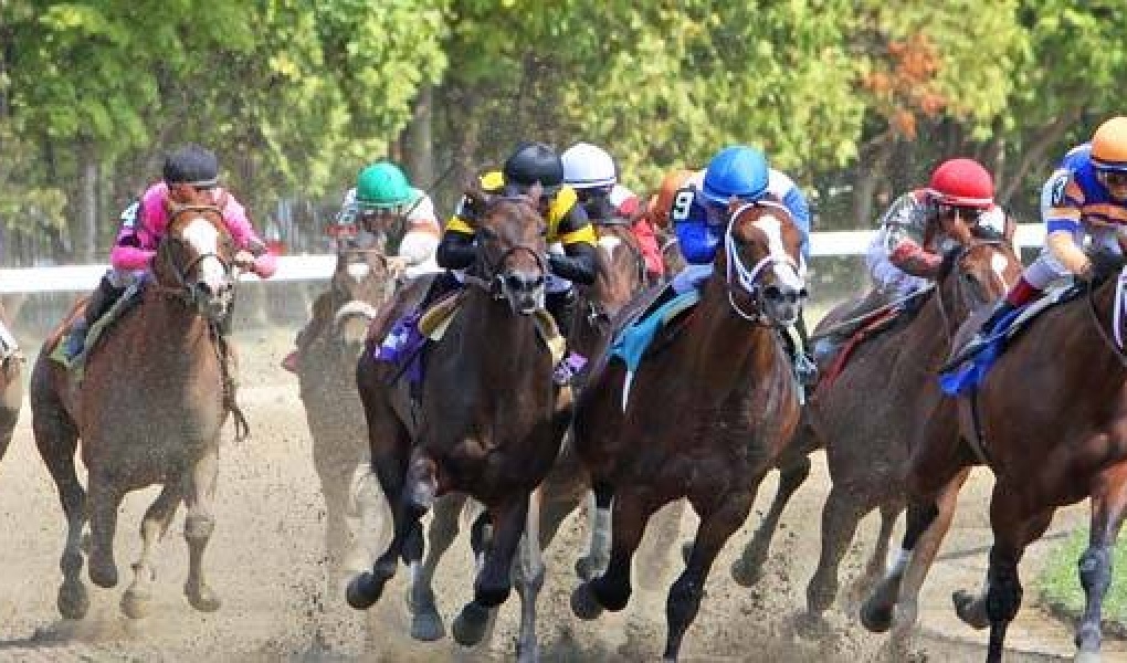 Breeders' Cup Outrights