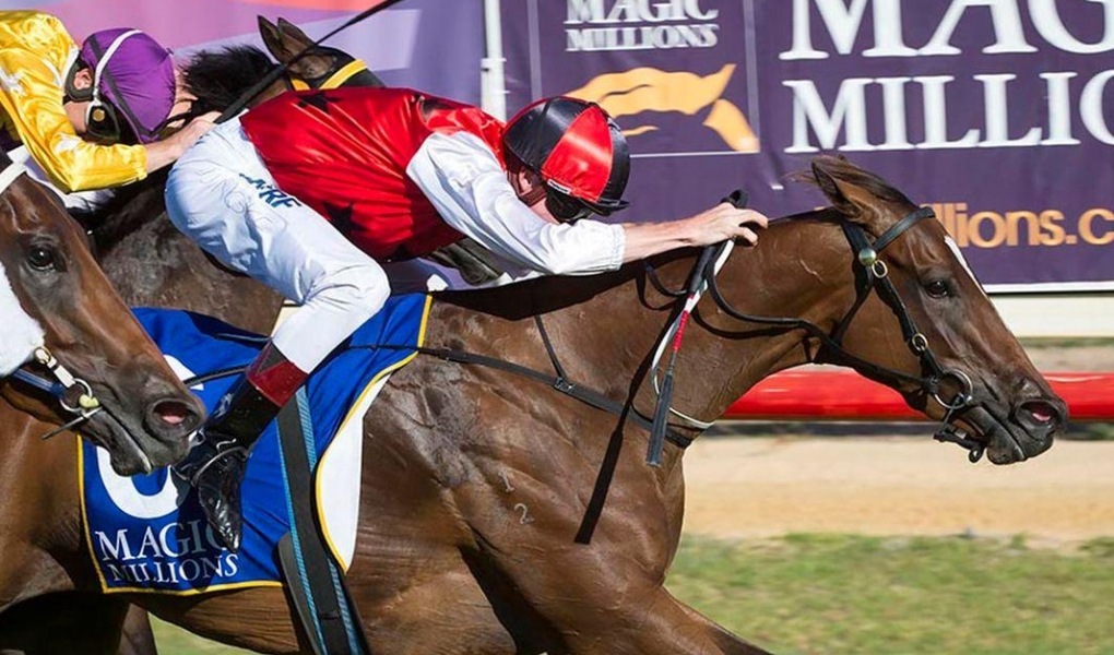 Breeders' Cup Sprint 2018 Odds