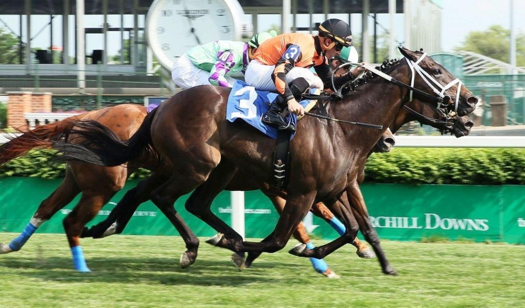 Breeders' Cup Turf Sprint 2018 Odds