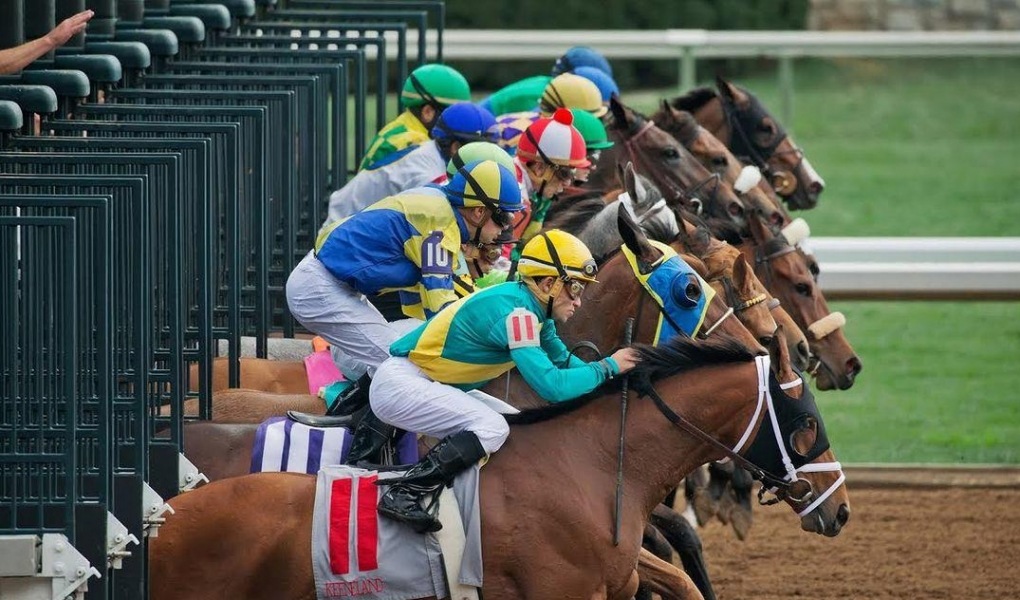 Claiborne Breeders' Futurity 2018 Odds And Picks