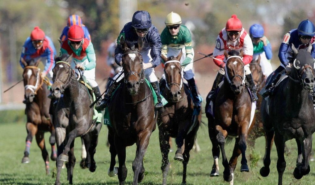 2018 Commonwealth Turf Stakes Picks