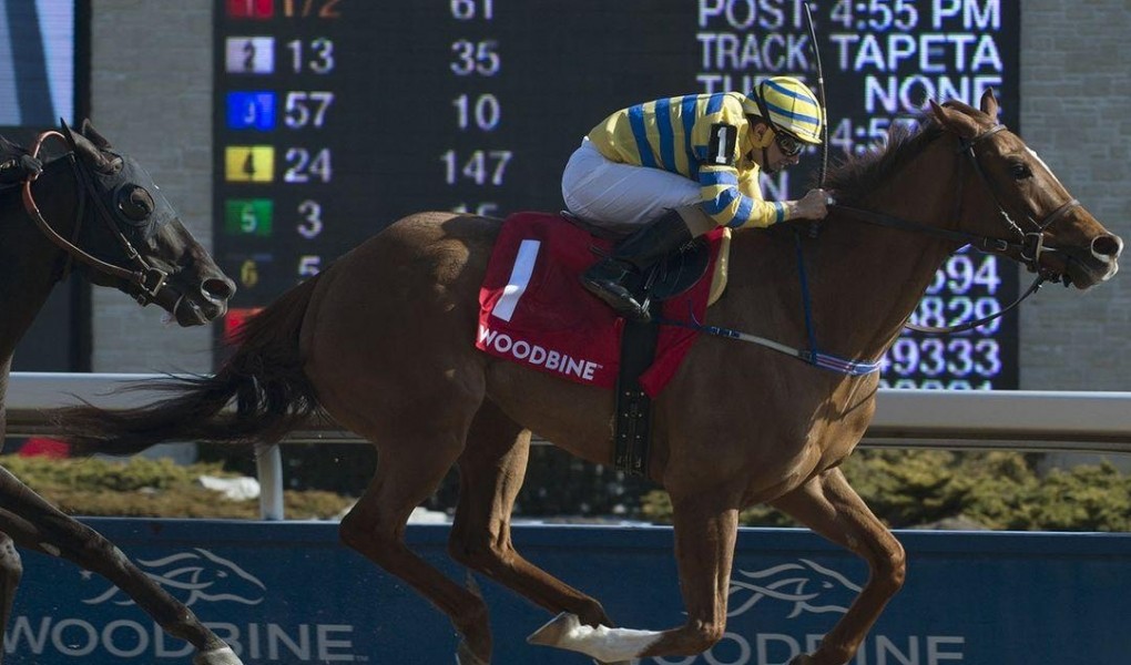 2018 Coronation Futurity at Woodbine