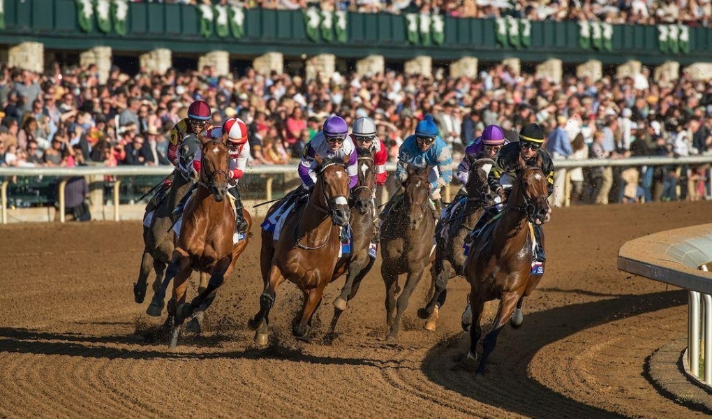 Darley Alcibiades Stakes 2018 Picks