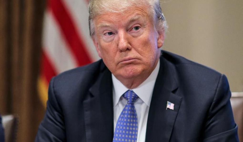 The 2020 US Election: Can Anyone Beat Trump The Donald?