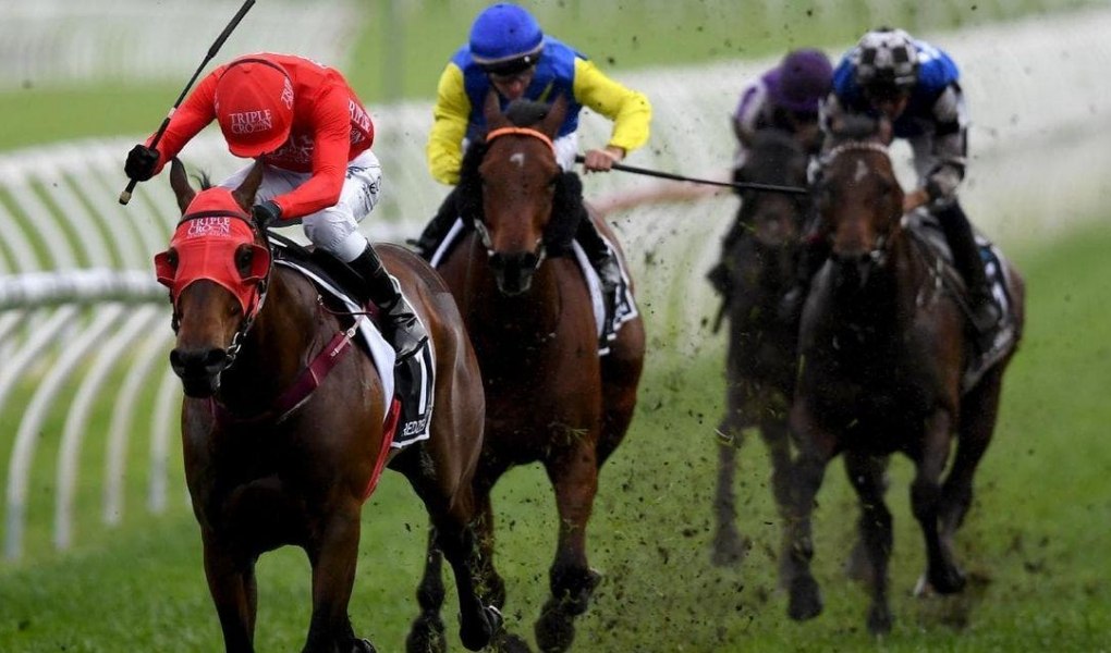 Hollywood Turf Cup 2018 Picks