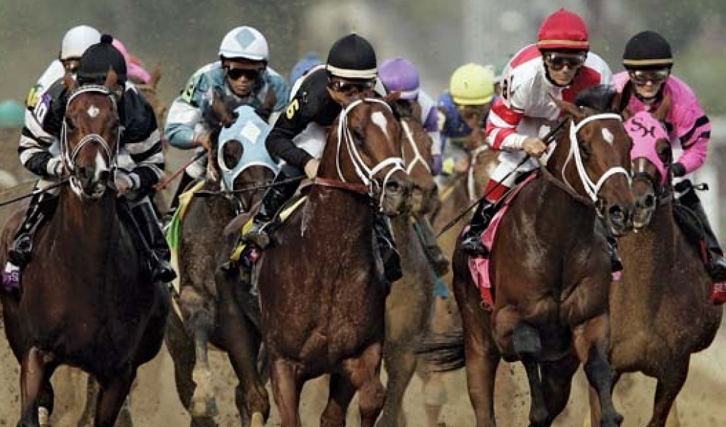 Iroquois Stakes Contenders Odds