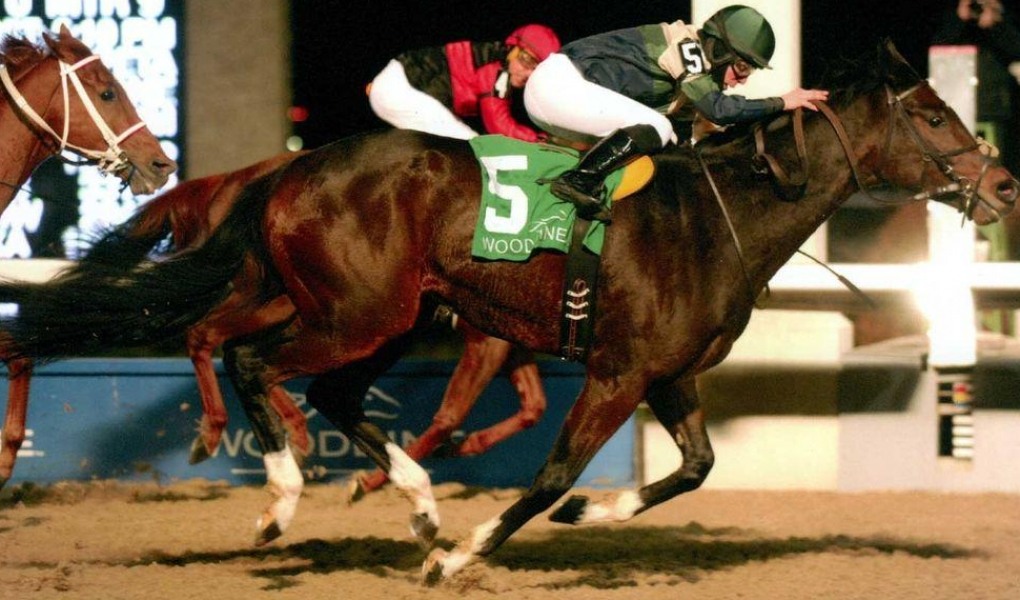 Kennedy Road Stakes 2018 Picks