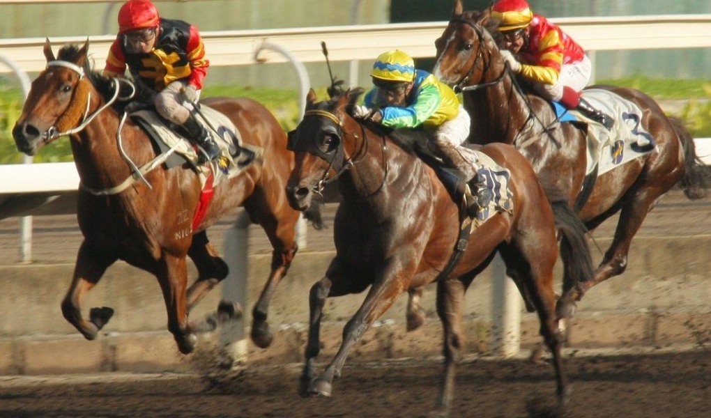 Kentucky Jockey Club Stakes 2018 Picks