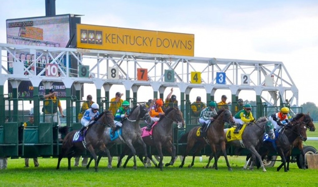 Kentucky Downs Ladies Turf Stakes Picks