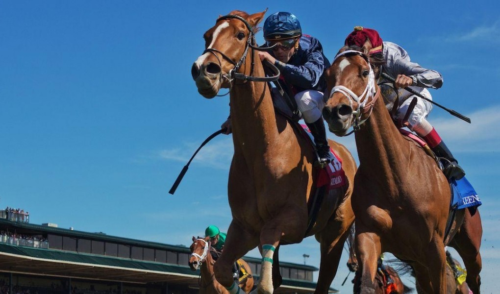 Ogden Phoenix Stakes 2018 Picks And Odds