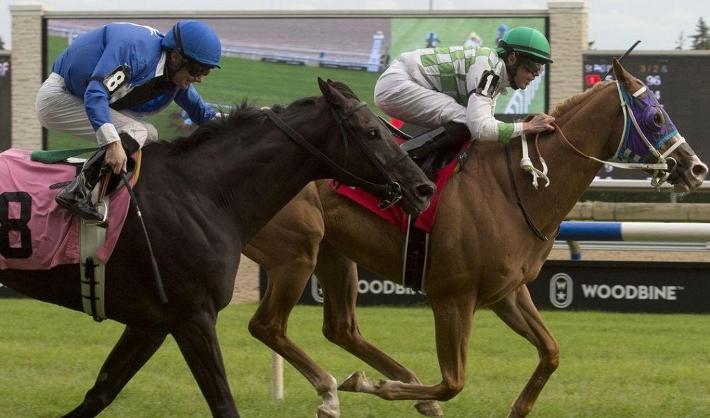 Pattison Canadian International 2018 Picks