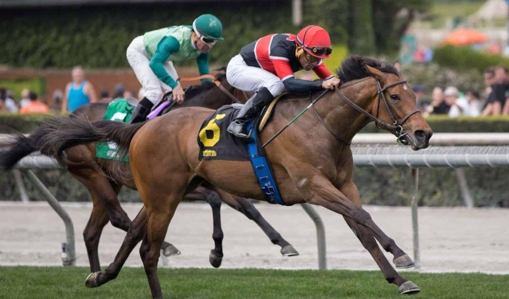 2018 Shadwell Turf Mile Stakes Picks