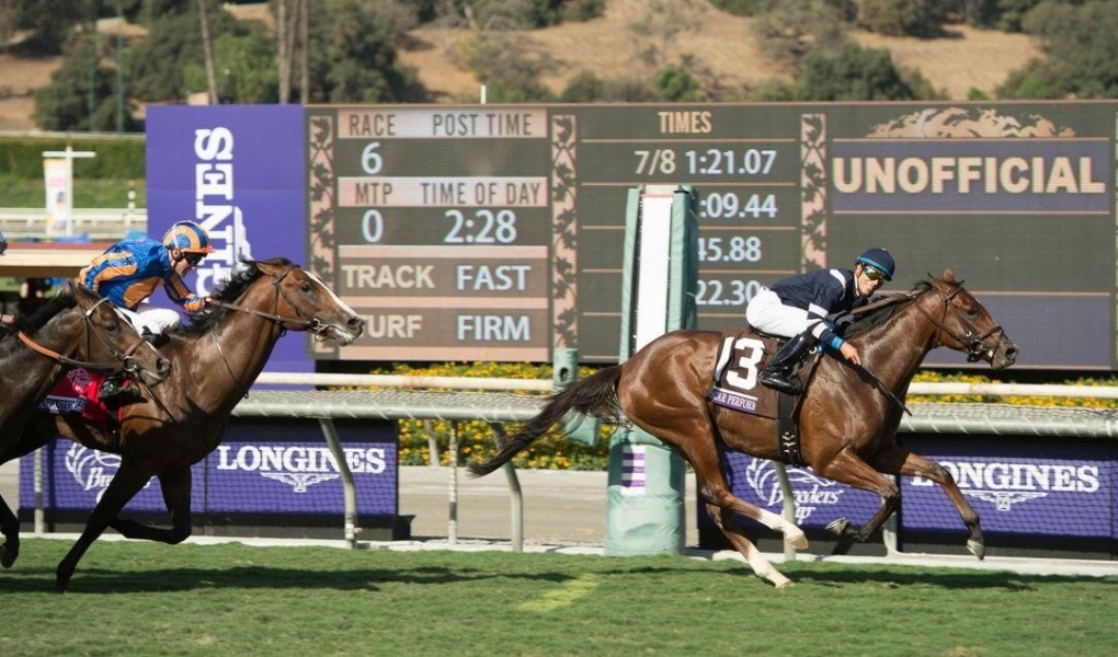 2018 Speakeasy Stakes Picks And Odds